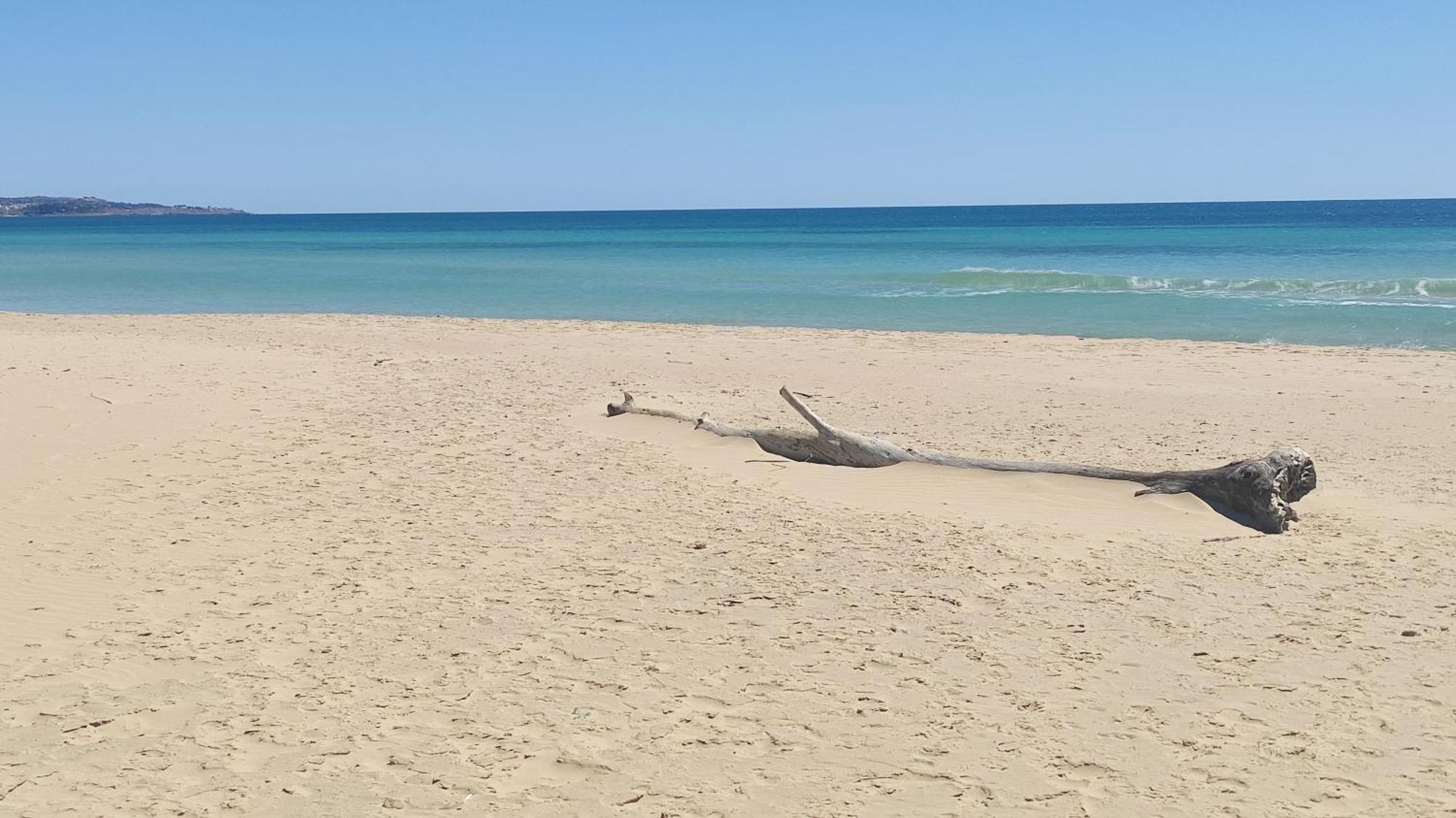 Picchio Hotel Pescoluse Marina Di Pescoluse Εξωτερικό φωτογραφία